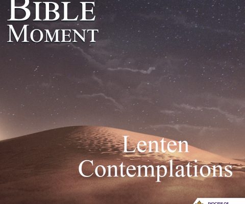 Lenten Contemplations