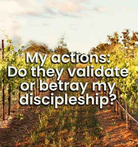 Bible Moment – My actions – do they validate or betray my discipleship?