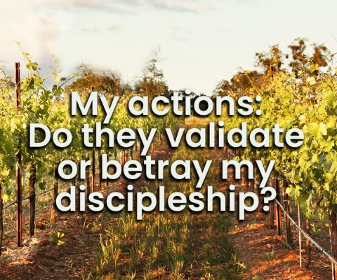 Bible Moment – My actions – do they validate or betray my discipleship?