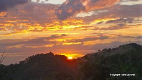 Copyright Thera Edwards