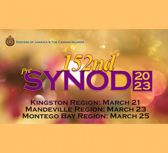 Synod Preparations Gather Momentum