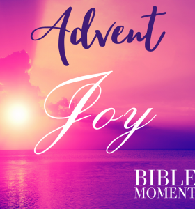 Advent 3 – JOY